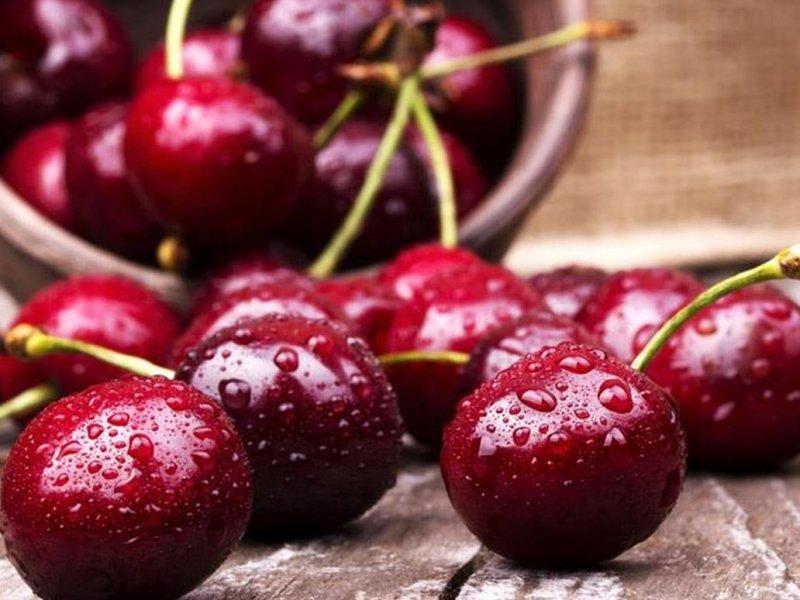 Вишня купить саженцы из питомника в Россоши